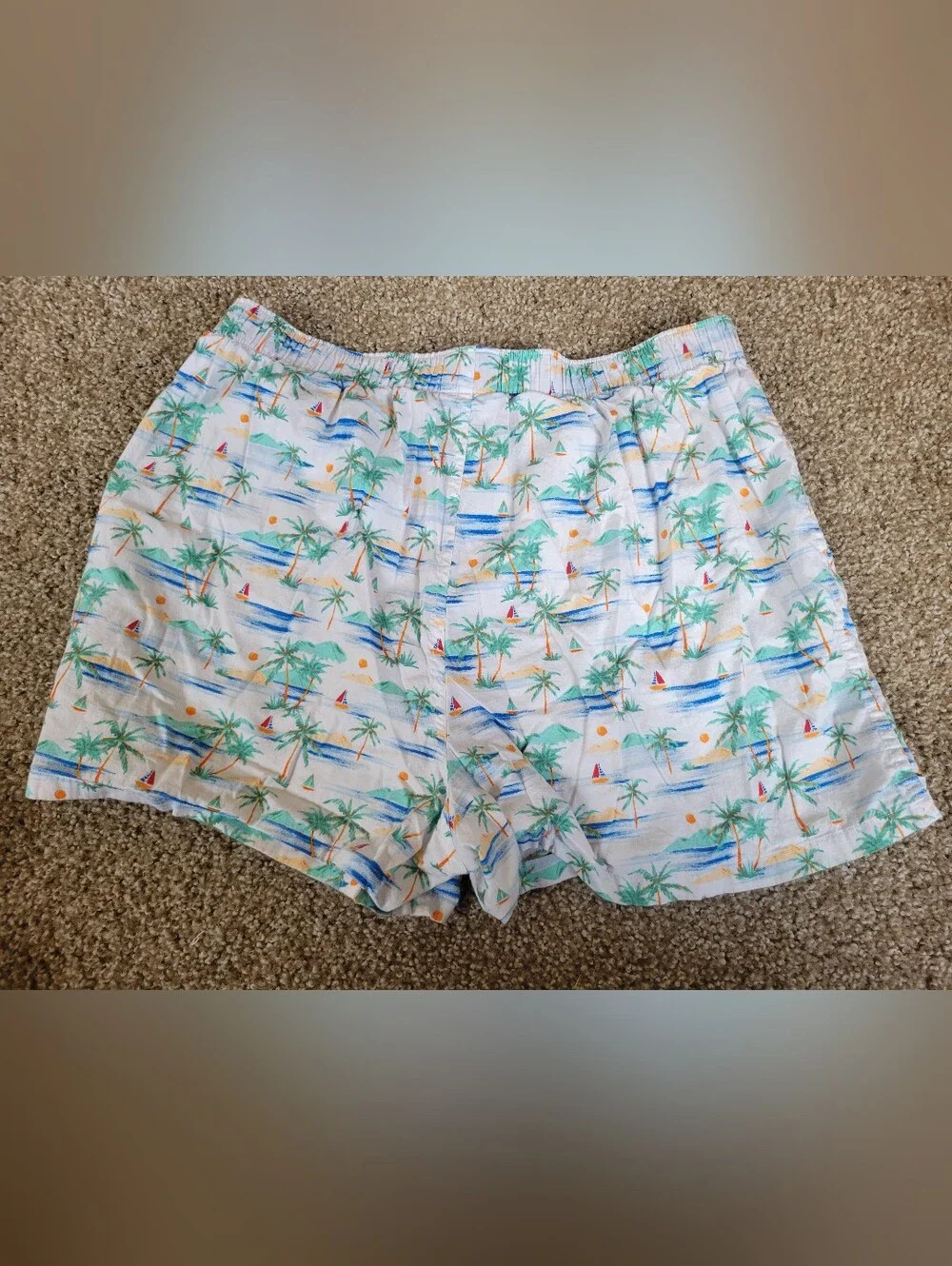 American Eagle Outfitters Tropical Island Vibes Stretch Boxer Shorts